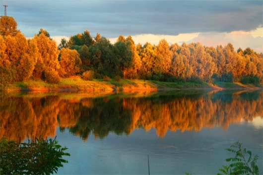 Деснянская оболонь