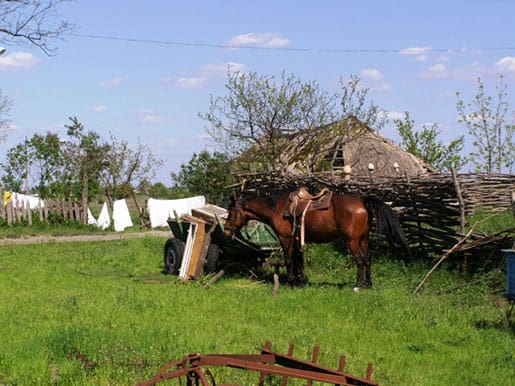Казацкий хутор Галушковка, Гречаное